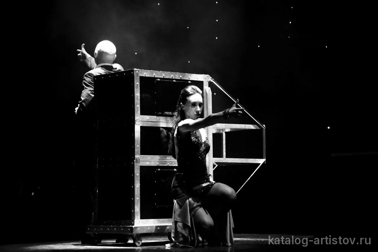 Иллюзионное шоу «Art of illusion», фокусник — фото 7
