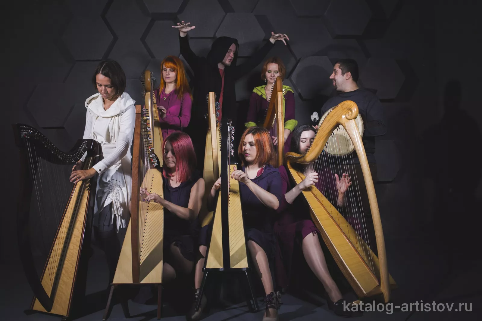 Moscow Harp Orchestra, музыкант — фото 7