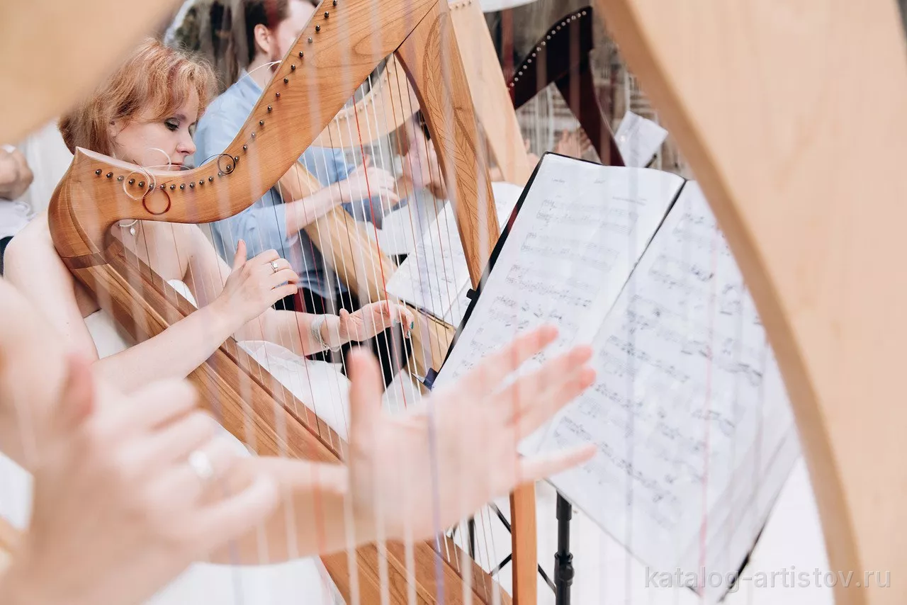 Moscow Harp Orchestra, музыкант — фото 8