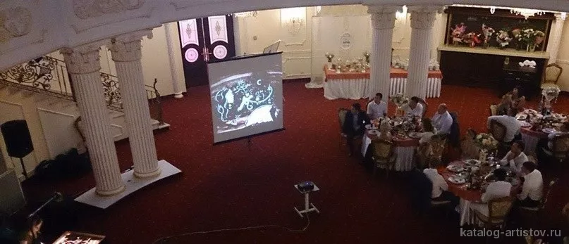 Художник песочной анимации Екатерина Король, песочное шоу — фото 3