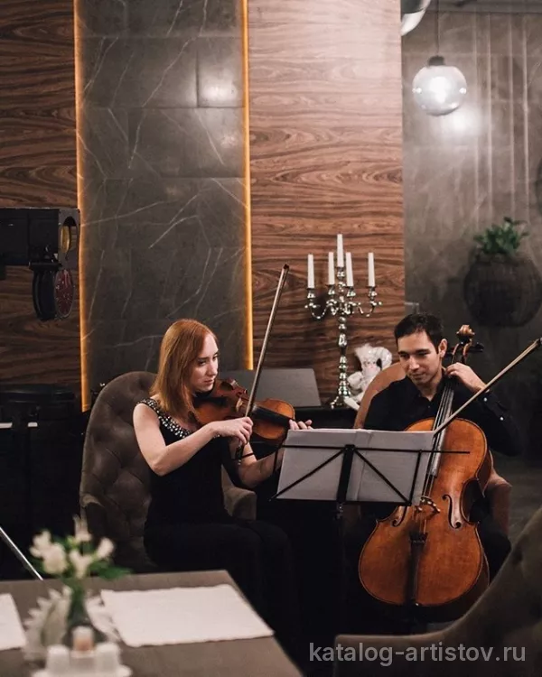 Дуэт ViolinCello, скрипач
