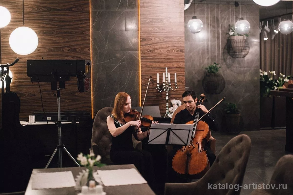Дуэт ViolinCello, скрипач