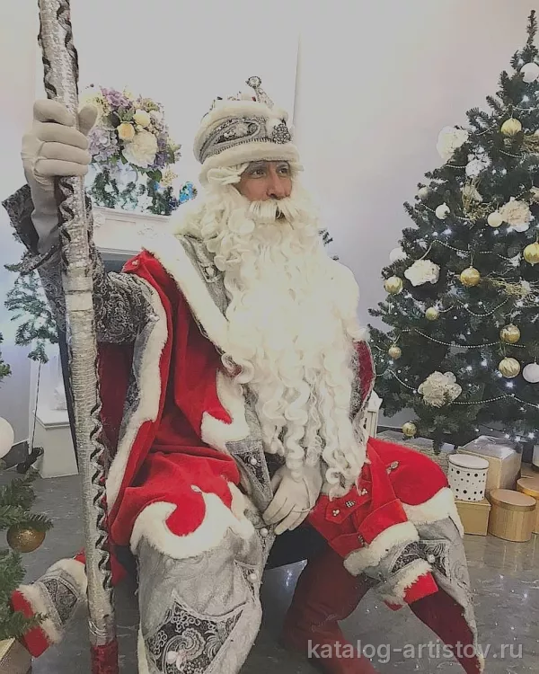 Дед Мороз Снегушка Дмитрий Мартынов