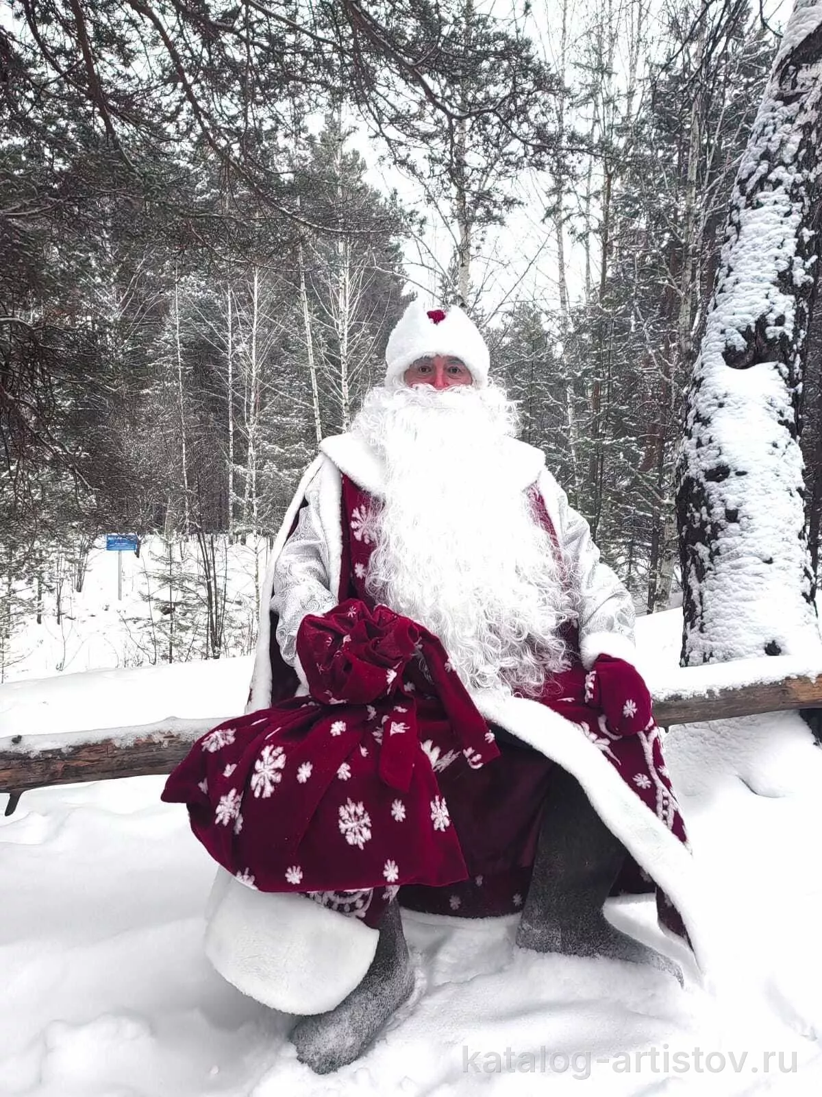 Дед Мороз и Снегурочка из Академгородка — фото 5