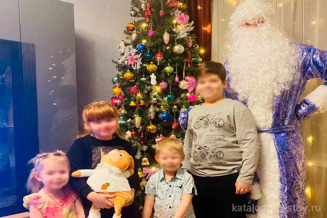 Дед Мороз из Петергофа — фото 8