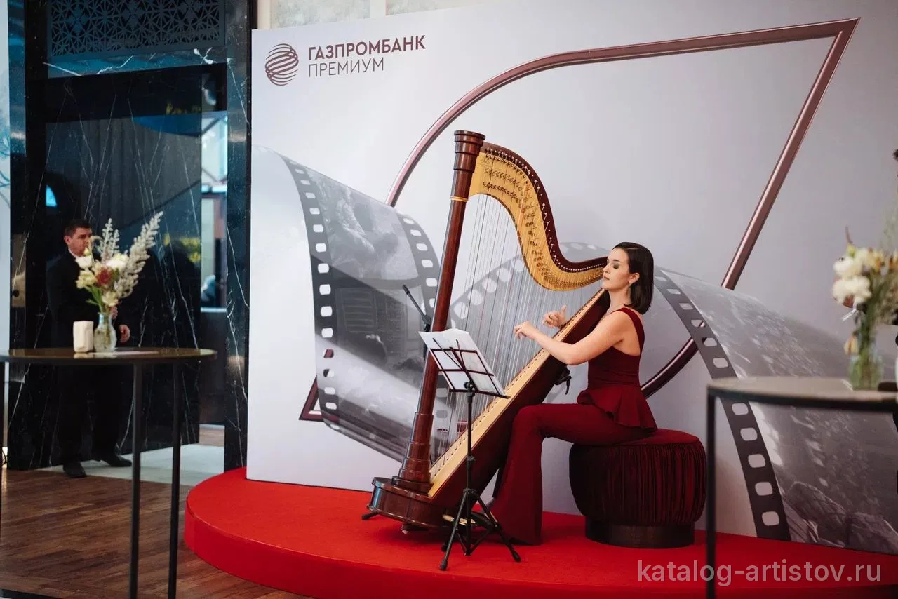 Ансамбль «СОЛИС», музыкант — видео выступления