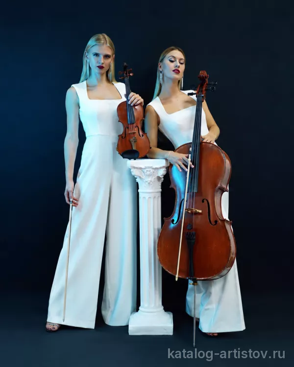 Струнный коллектив Vento Music, скрипач