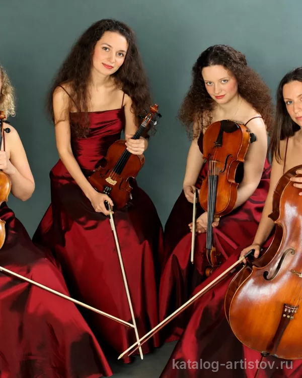 Струнный квартет «Primavera», скрипач