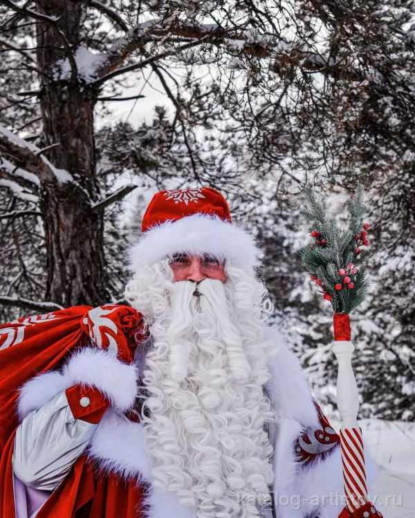 Дед Мороз Нижний Новгород (dedmoroz_nnovgorod)