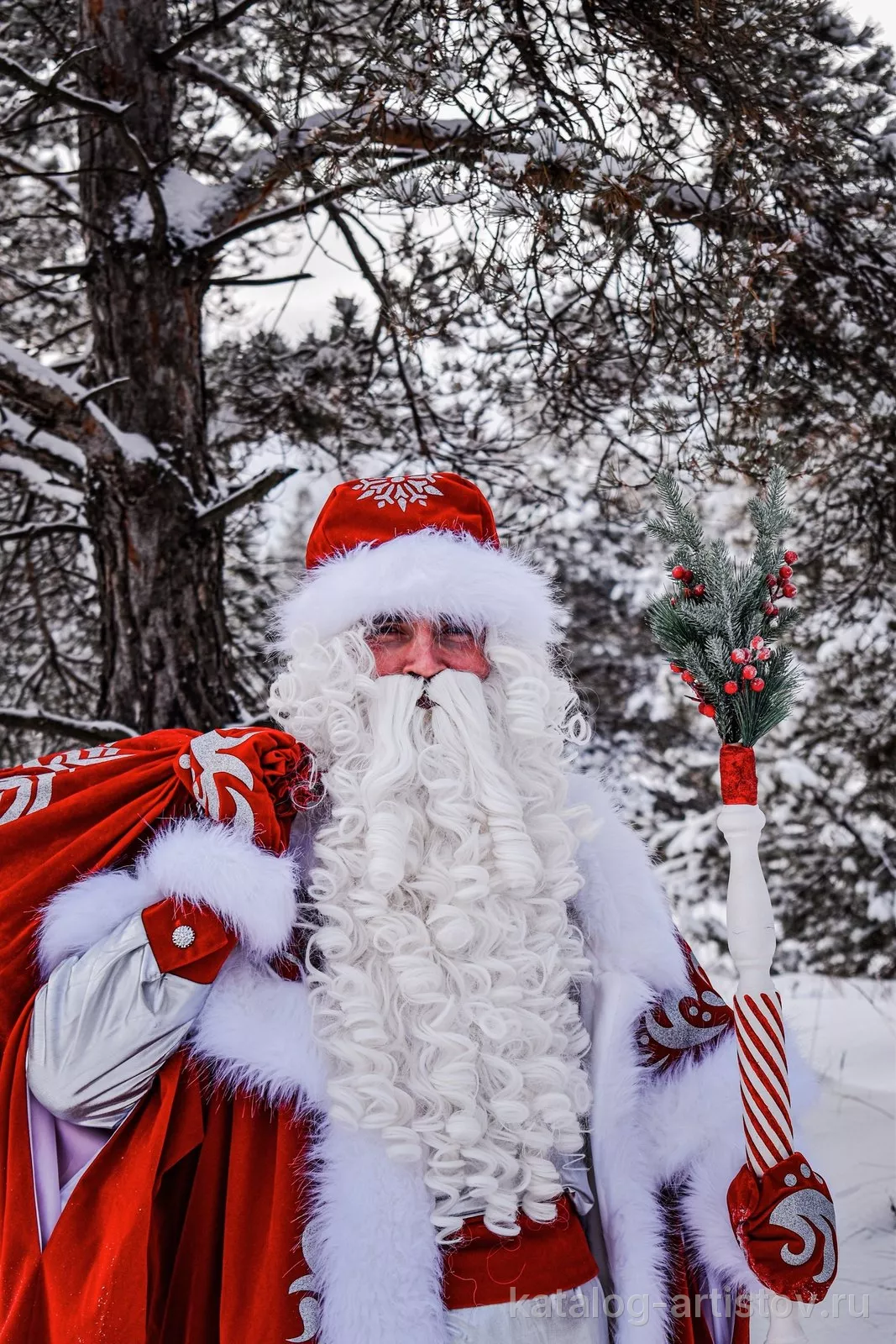 Дед Мороз Нижний Новгород (dedmoroz_nnovgorod)