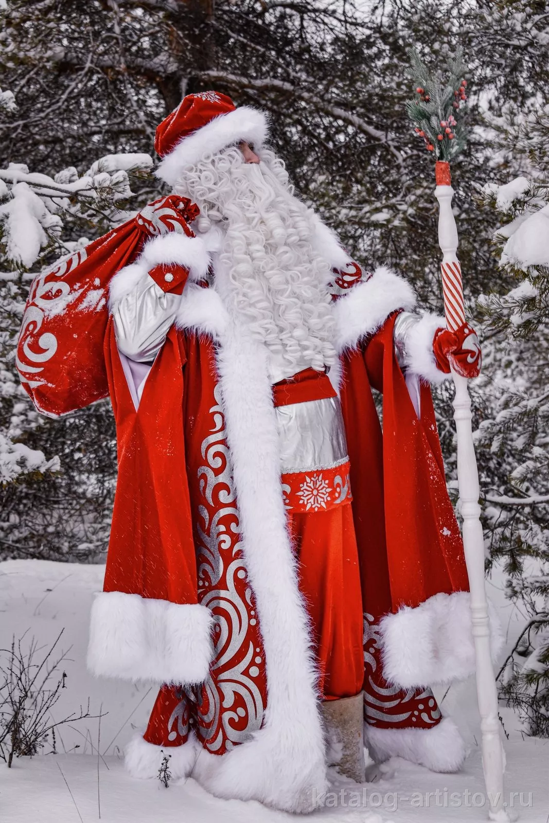 Дед Мороз Нижний Новгород (dedmoroz_nnovgorod) — фото 4