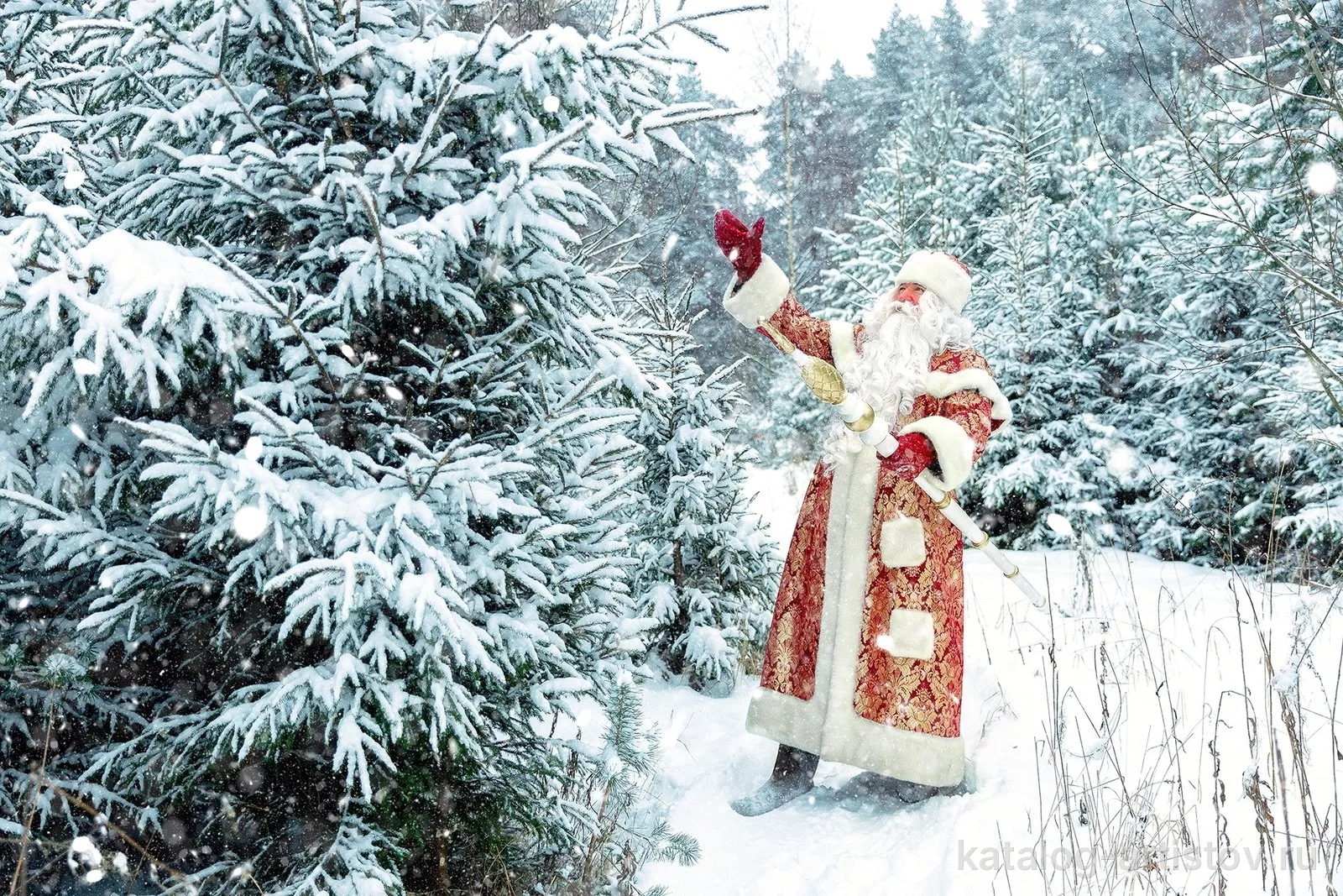Дед Мороз и Снегурочка Вологда (dedmoroz_vol) — фото 6