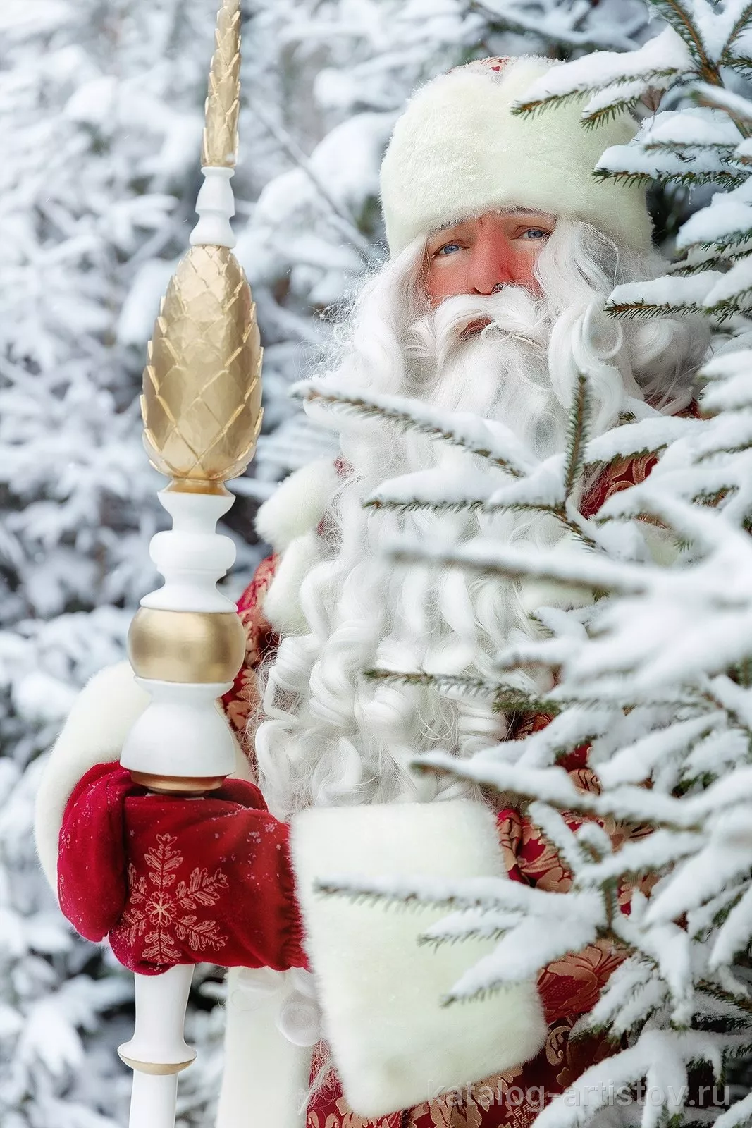 Дед Мороз и Снегурочка Вологда (dedmoroz_vol) — фото 7