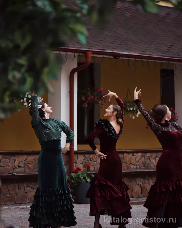 Шоу-балет фламенко Rosa y Tacon