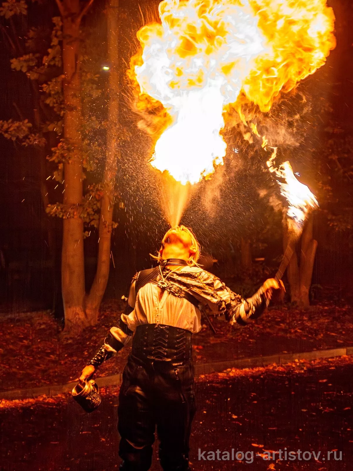 Фаер-шоу Dragon Show, световое шоу — фото 5